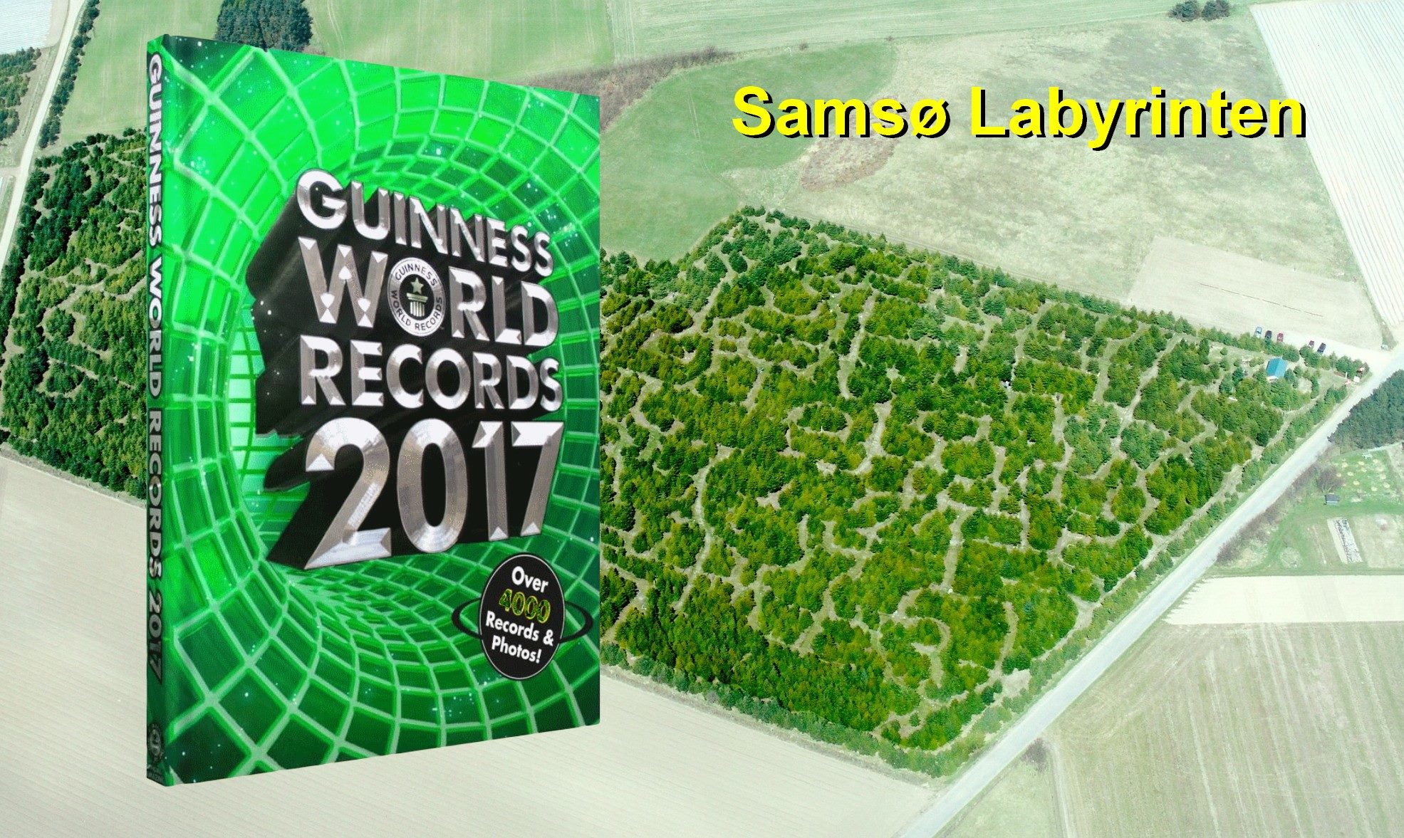 Guinness World Record, 2017