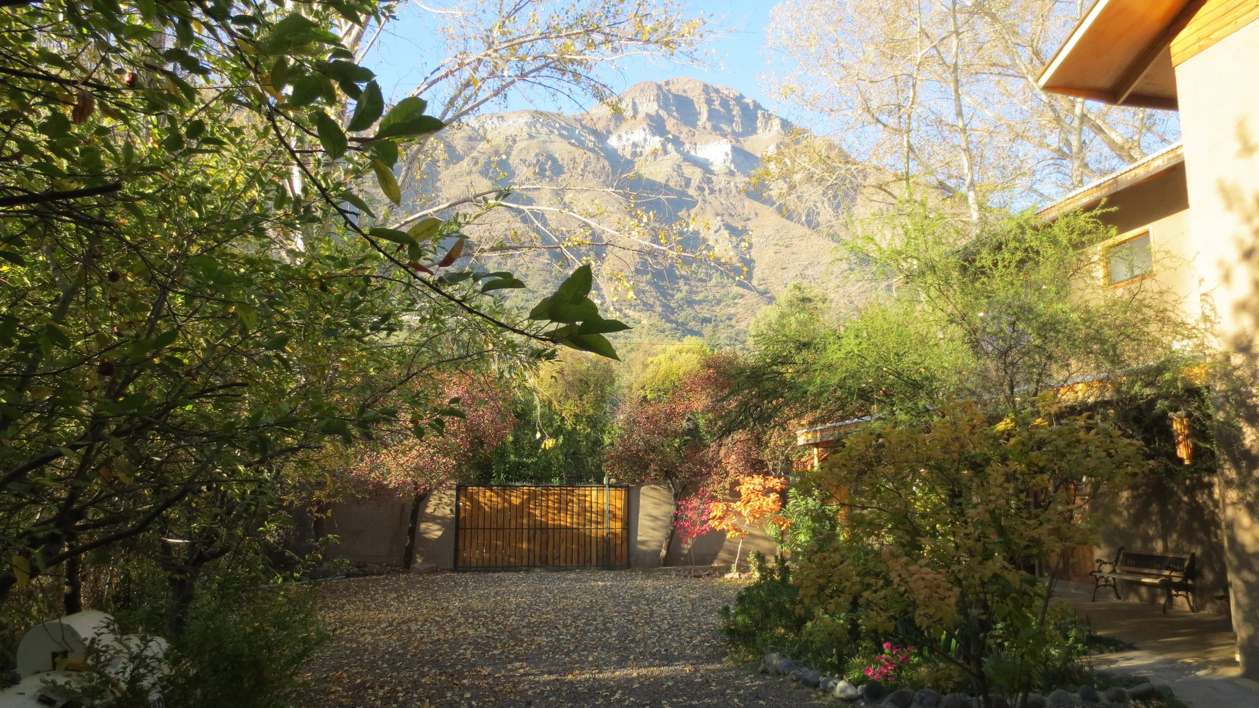 Outside - trees and mountain in the background