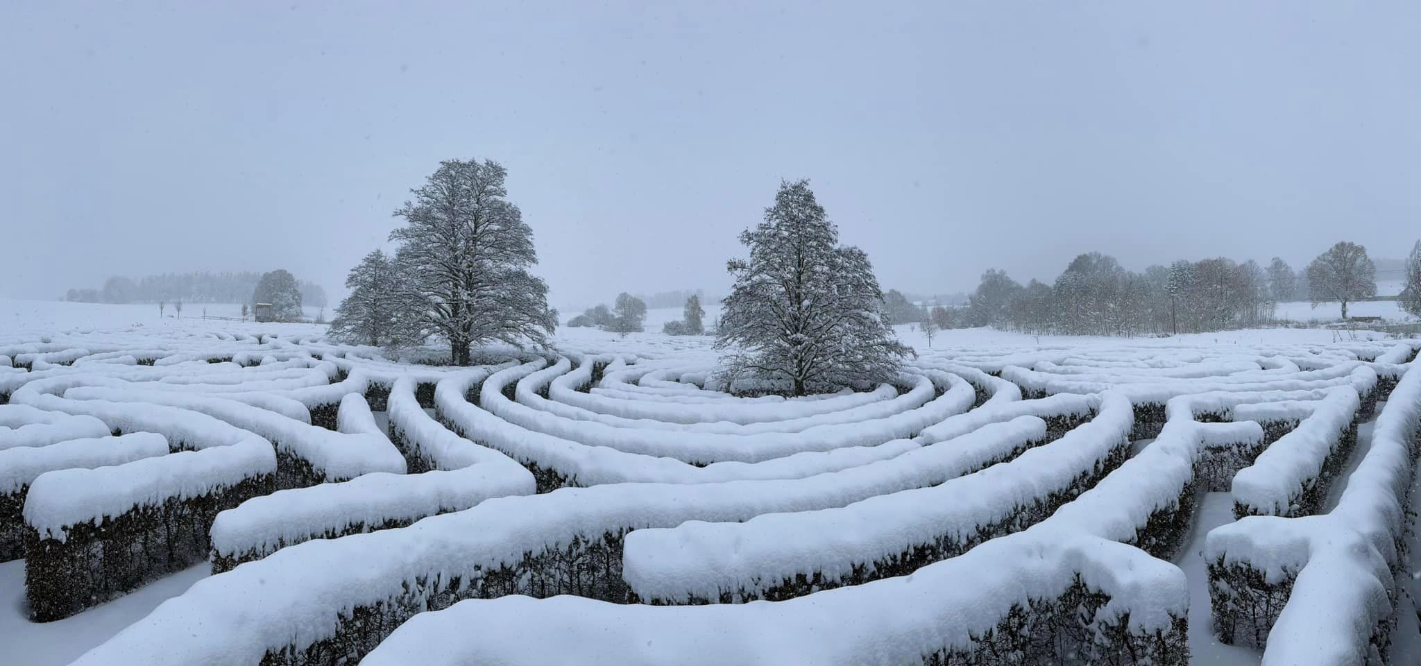 Winter - covered in snow