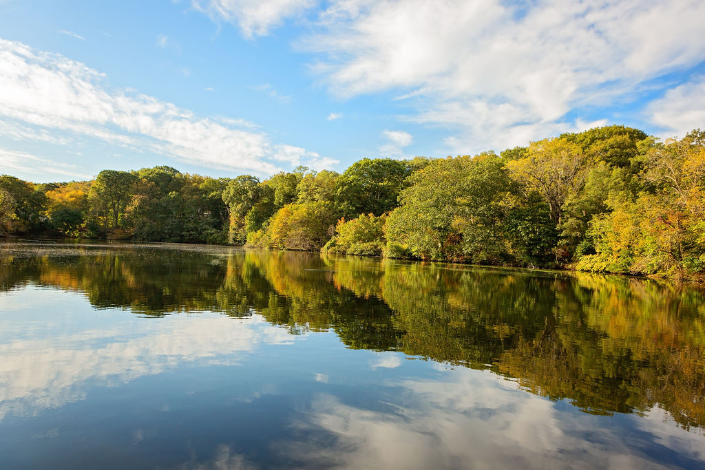 Colorful trees reflecting in the pond